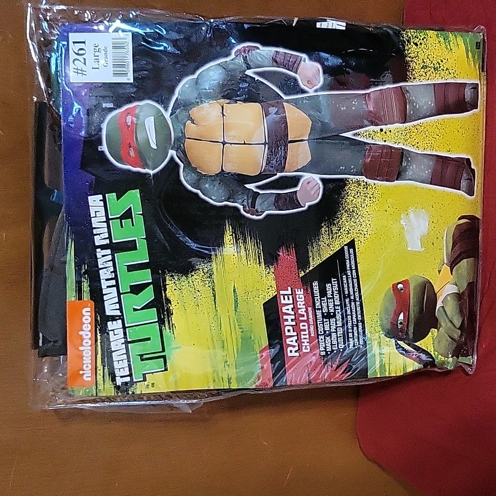 Boys "Teenage Mutant Ninja Turtles (Raphael)" Costume